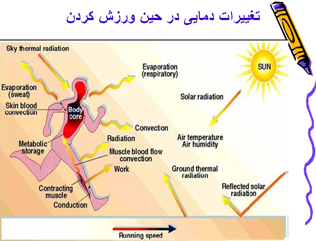 پاورپوینت تنظیم حرارت 